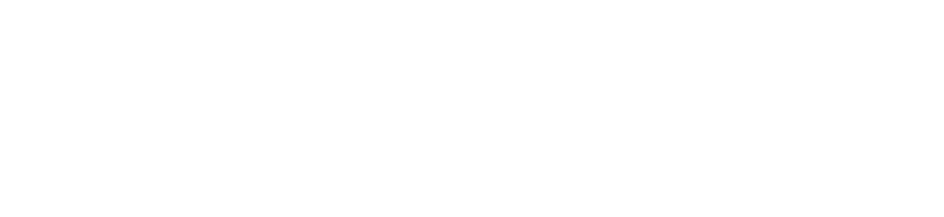 Automesh